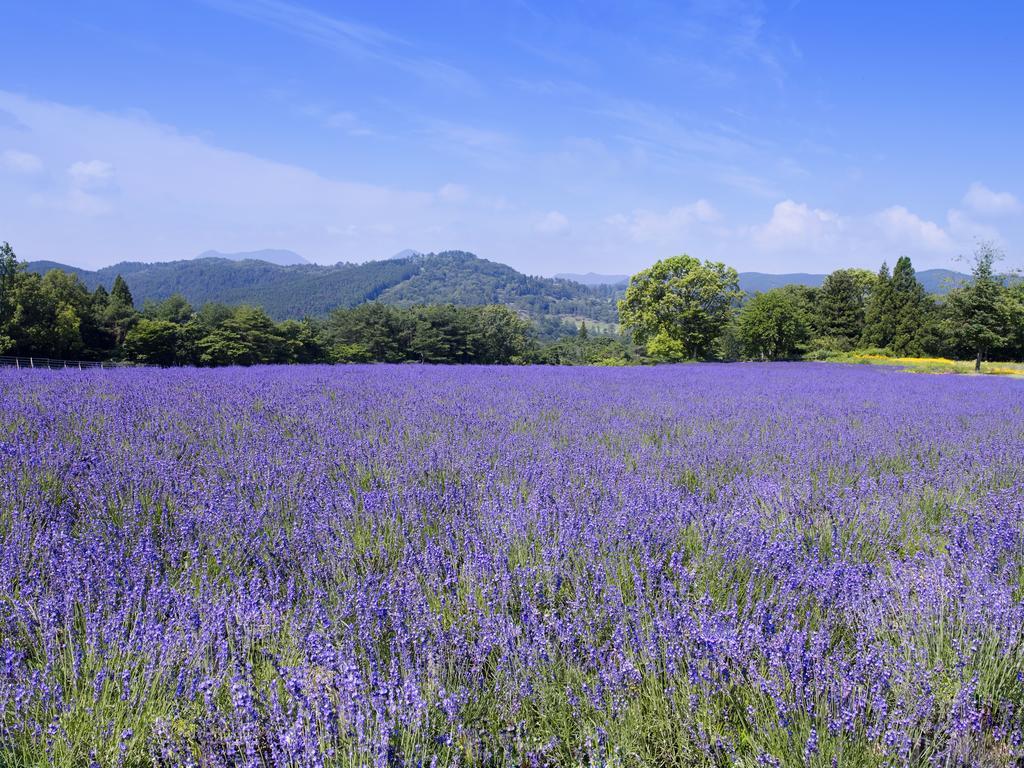 Menard Aoyama Resort: Wafukan Utatsukasa Iga Zewnętrze zdjęcie